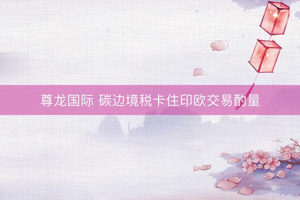 尊龙国际 碳边境税卡住印欧交易酌量