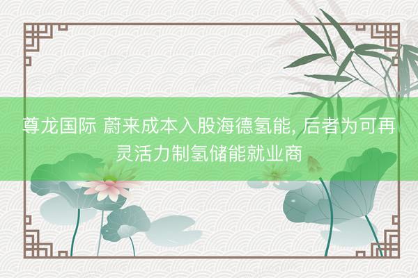 尊龙国际 蔚来成本入股海德氢能， 后者为可再灵活力制氢储能就业商