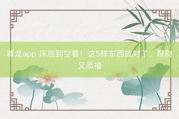 尊龙app 床底别空着！这5样东西放对了，聚财又添福