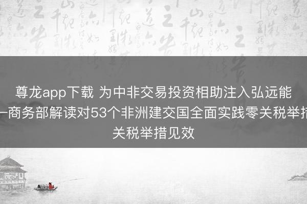 尊龙app下载 为中非交易投资相助注入弘远能源——商务部解读对53个非洲建交国全面实践零关税举措见效