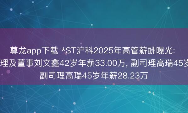 尊龙app下载 *ST沪科2025年高管薪酬曝光: 副董事长、司理及董事刘文鑫42岁年薪33.00万, 副司理高瑞45岁年薪28.23万